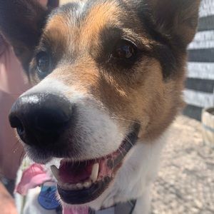 Meet your Posher, Mike